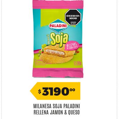 Afiche 21 Paladini 31052026