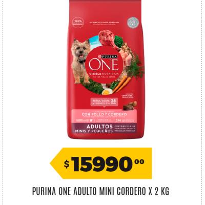 Afiche 103 Dogchow 31052026