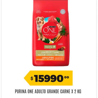 Afiche 104 Dogchow 31052026