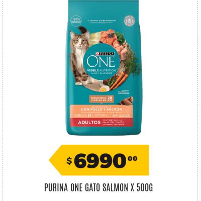 Afiche 106 Dogchow 31052026