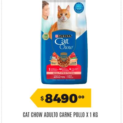Afiche 98 Dogchow 31052026