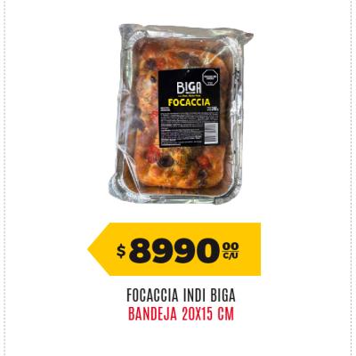 Afiche 17 Biga 06092026